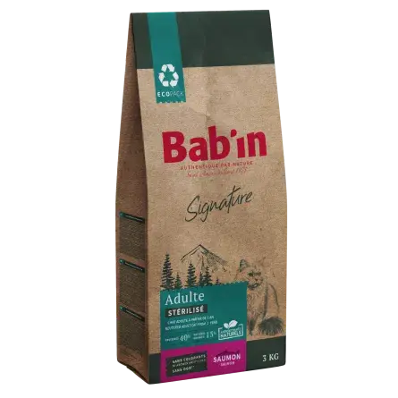 Chat Adulte - Saumon