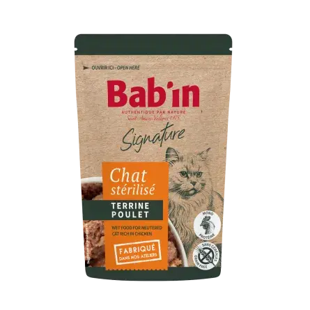 Terrine Chat - Poulet